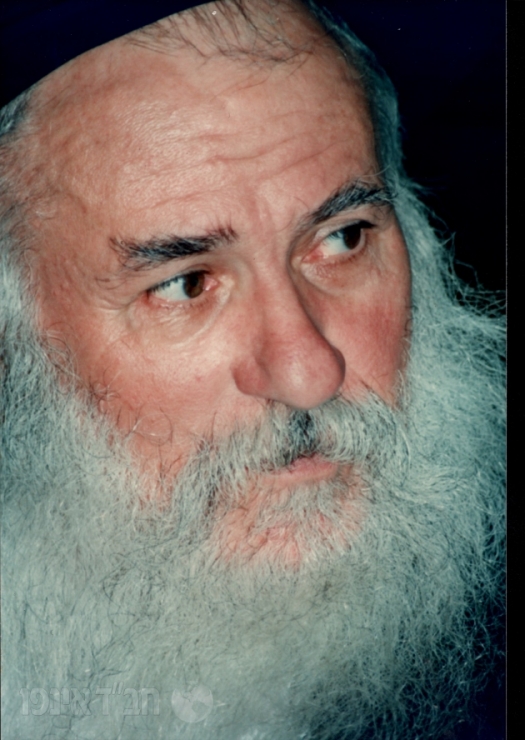 Rabbi Yitzchok Springer