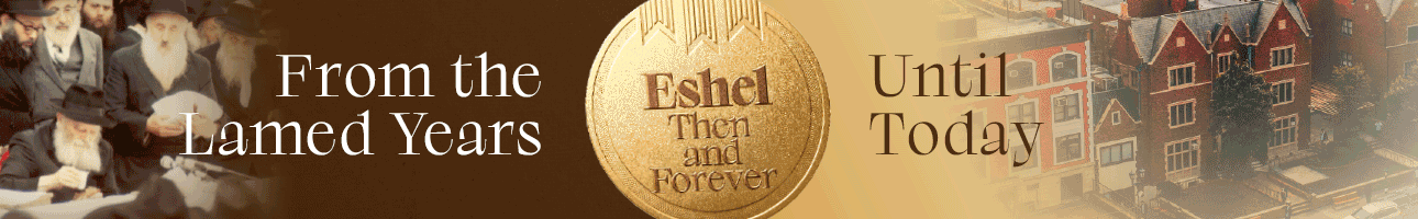 1290 eshel
